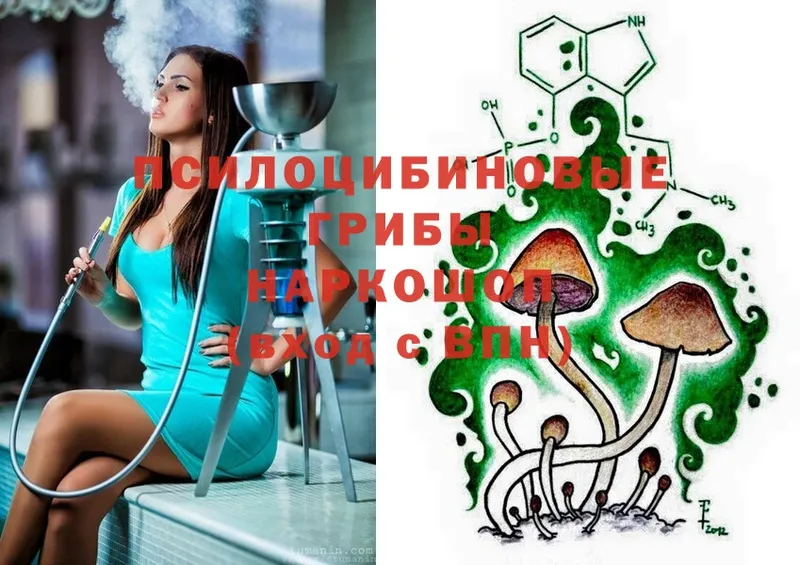 Псилоцибиновые грибы MAGIC MUSHROOMS  Горно-Алтайск 